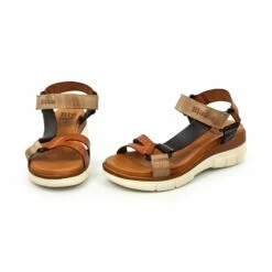 Sandalias Cuña Mujer Piel Velcro Plantilla Acolchada 54322 Multicuero, De Blusandal 18 Sandalias Cuña Mujer Piel Velcro Plantilla Acolchada 54322 Multicuero, De Blusandal -BOUTTYE Ventas sandalias cuna mujer piel velcro plantilla acolchada 54322 multicuero de blusandal 7